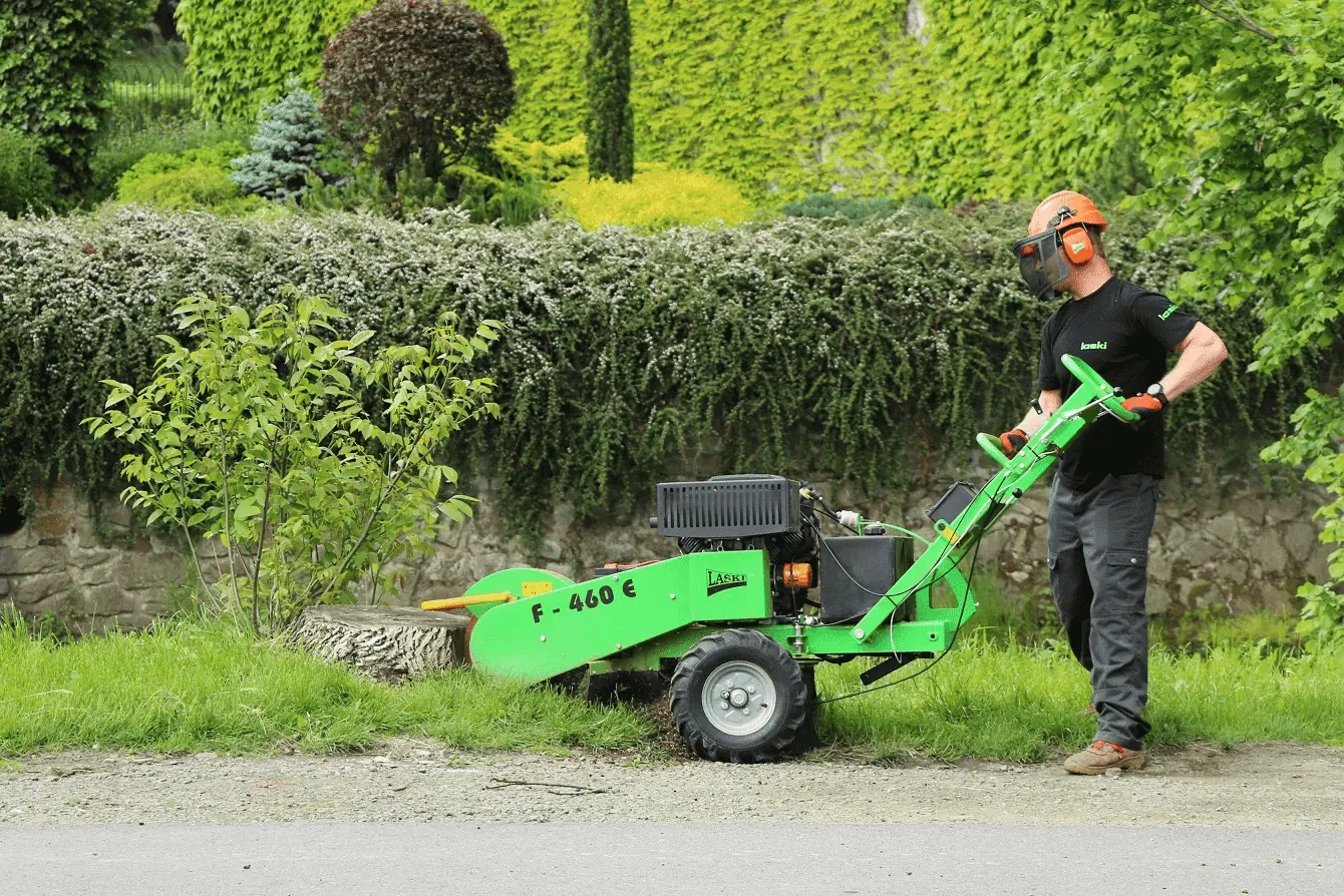 Karczownik do pni Laski F 460 E/27 podczas frezowania w trudnym terenie